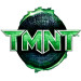 TMNT movie logo